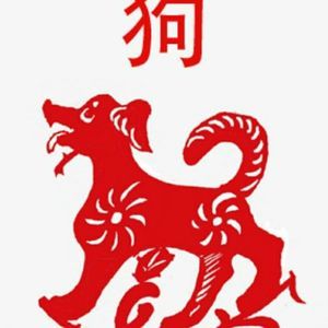 Meet your Posher, Han